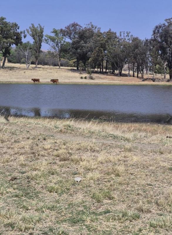 17 Bedroom Property for Sale in Ladybrand Free State